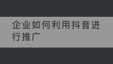 企业如何利用抖音进行推广