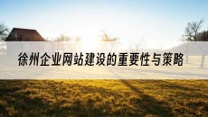 徐州企业的重要性与策略-网站建设