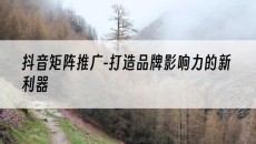 -打造品牌影响力的新利器-抖音矩阵推广