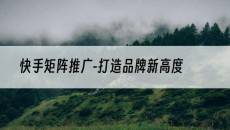 -打造品牌新高度-快手矩阵推广