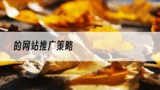 的网站推广策略-网站建设推广
