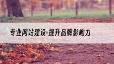 -提升品牌影响力-专业网站建设