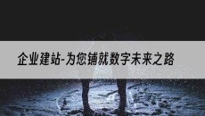 -为您铺就数字未来之路-企业建站