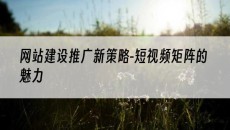 新策略-短视频矩阵的魅力-网站建设推广