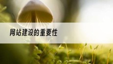 的重要性-网站建设