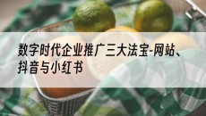 数字时代企业推广三大法宝-网站、抖音与小红书-网站建设推广