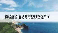 -自助与专业的双轨并行-网站建设