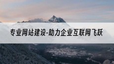 -助力企业互联网飞跃-专业网站建设