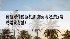 网络时代的新机遇-如何*进行网站建设与推广-网站建设推广