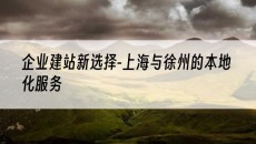 新选择-上海与徐州的本地化服务-企业建站