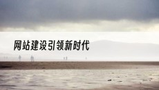引领新时代-网站建设
