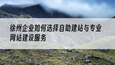 徐州企业如何选择与专业网站建设服务-自助建站