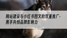 网站建设与小红书图文的双重推广-携手共创品牌影响力-网站建设推广