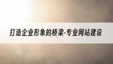 打造企业形象的桥梁--专业网站建设