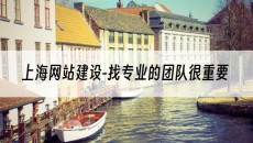上海网站建设-找专业的团队很重要-网站建设公司