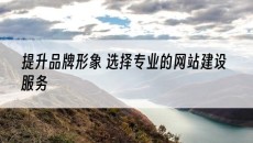 提升品牌形象 选择专业的网站建设服务-专业网站建设