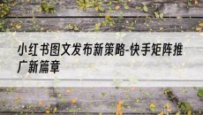 新策略-快手矩阵推广新篇章-小红书图文发布