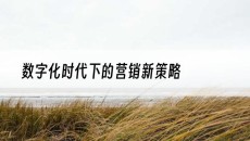 数字化时代下的营销新策略-网站建设推广