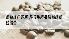 创新推广策略-抖音矩阵与网站建设的结合-网站建设推广