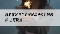 与专业网站建设公司的选择-上海视角-自助建站