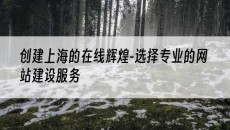 创建上海的在线辉煌-选择专业的网站建设服务-上海网站建设