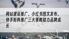 、小红书图文发布、快手矩阵推广三大策略助力品牌成长-网站建设推广