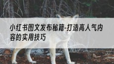 秘籍-打造高人气内容的实用技巧-小红书图文发布