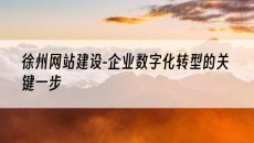 -企业数字化转型的关键一步-徐州网站建设