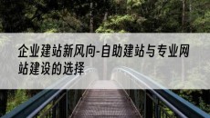 新风向-自助建站与专业网站建设的选择-企业建站