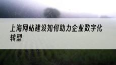 如何助力企业数字化转型-上海网站建设