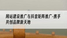 与抖音矩阵推广-携手共创品牌新天地-网站建设推广