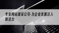 专业-为企业发展注入新活力-网站建设公司