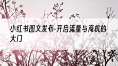 -开启流量与商机的大门-小红书图文发布