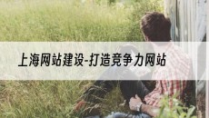 上海-打造竞争力网站-网站建设