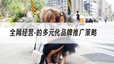 全网经营-的多元化品牌推广策略-网站建设推广