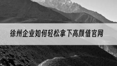 徐州企业如何轻松拿下高颜值官网-徐州网站建设