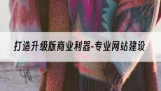 打造升级版商业利器--专业网站建设