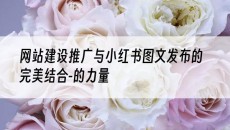 与小红书图文发布的*结合-的力量-网站建设推广