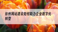 如何助力企业数字化转型-徐州网站建设