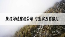 找对-专业实力看得见-网站建设公司