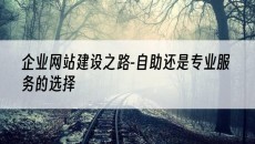 企业之路-自助还是专业服务的选择-网站建设
