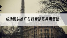 成功网站推广与抖音矩阵并用策略-网站建设推广
