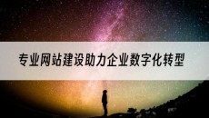 专业助力企业数字化转型-网站建设