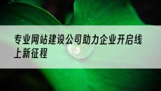 专业公司助力企业开启线上新征程-网站建设
