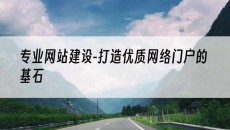 专业-打造优质网络门户的基石-网站建设