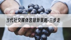 当代社交媒体营销新策略-三步走-抖音矩阵推广