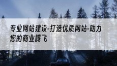 专业-打造优质网站-助力您的商业腾飞-网站建设