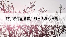 数字时代企业推广的三大核心策略-网站建设推广