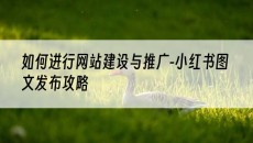 新疆如何进行网站建设与推广-小红书图文发布攻略-网站建设推广