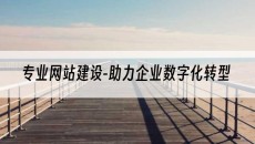 专业网站建设-助力企业数字化转型-网站建设公司